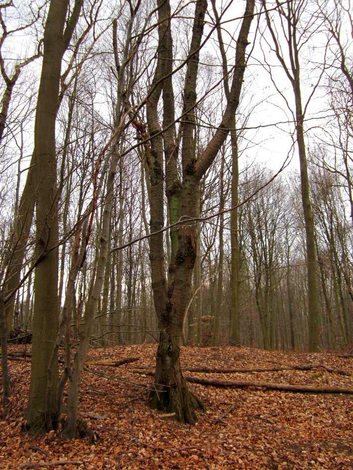 20130331Sonnenberg07