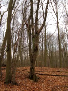 20130331Sonnenberg07
