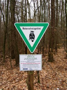 20130310Steinbachtal1