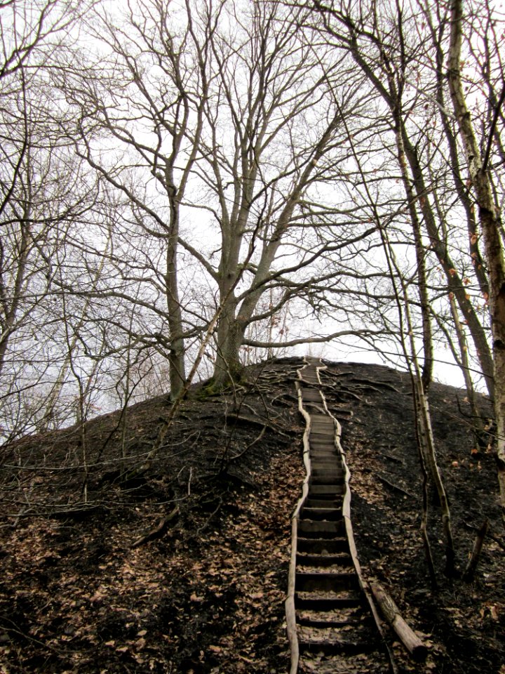 20130310Kleiner_Fudji03