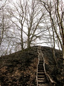 20130310Kleiner_Fudji03