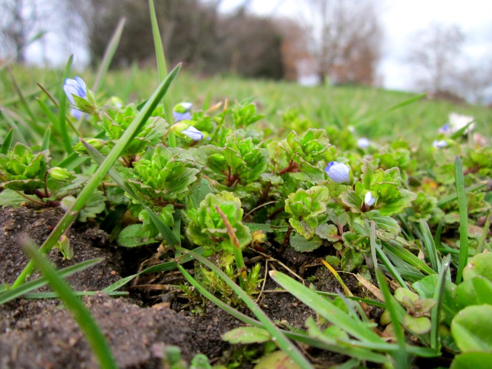 20130319Gartenschaupark_Hockenheim02