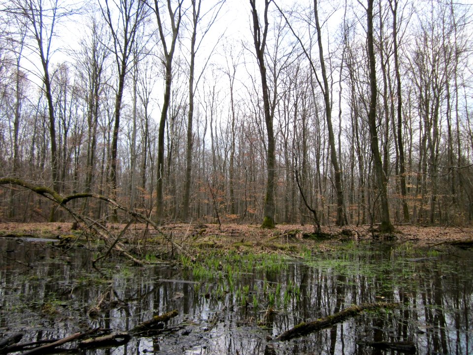 20130331Sonnenberg09