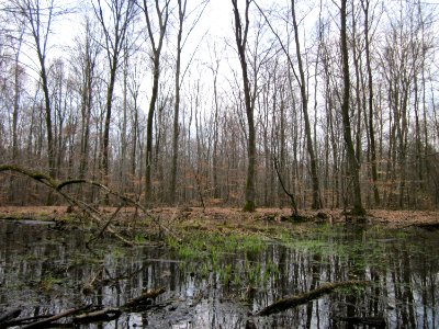 20130331Sonnenberg09
