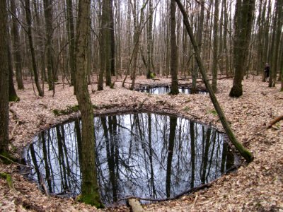 20130310Steinbachtal3