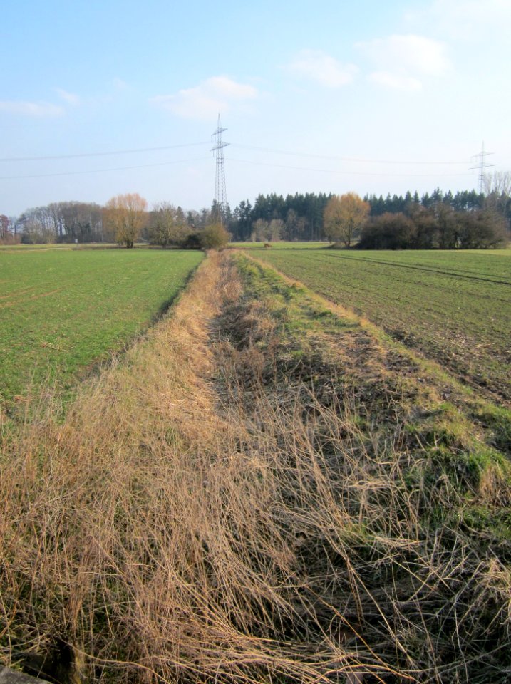 20130327_Kisselwiesen_Reilingen_04