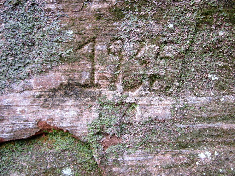 20130331Felsenwege_Sonnenberg08