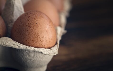 Eggshell egg box egg packaging photo