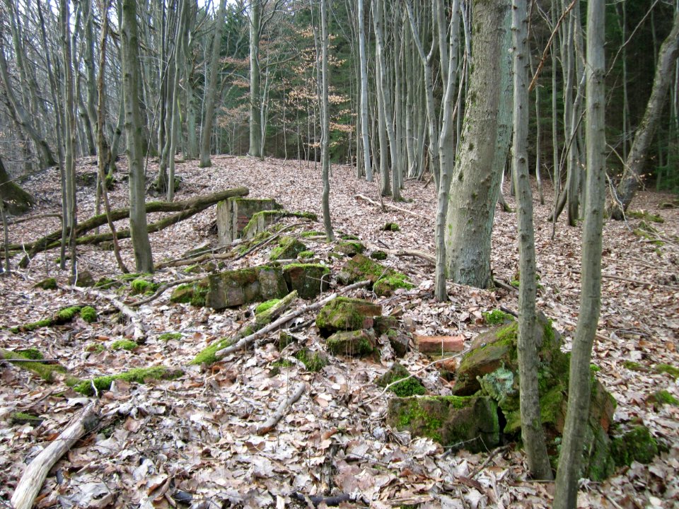 20130310Steinbachschacht12