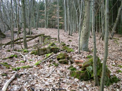 20130310Steinbachschacht12