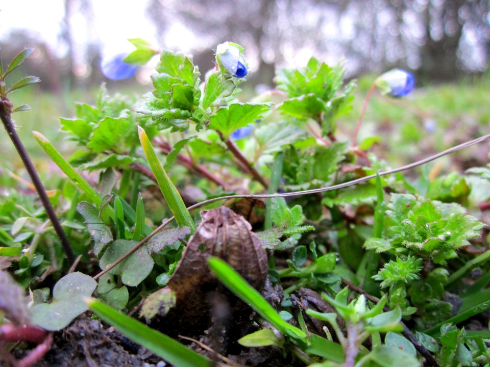 20130319Gartenschaupark_Hockenheim05