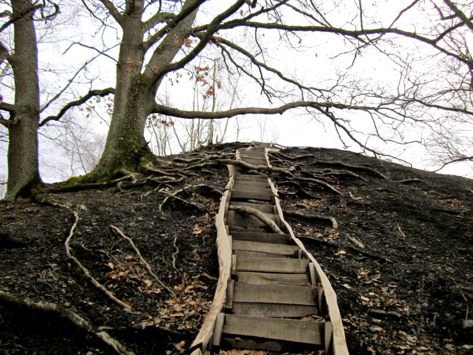 20130310Kleiner_Fudji04