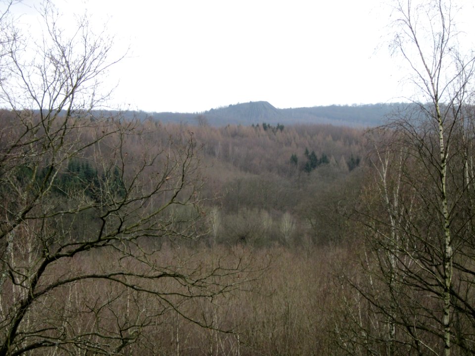 20130310Kleiner_Fudji10