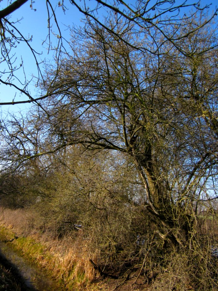 20130315Hockenheim4