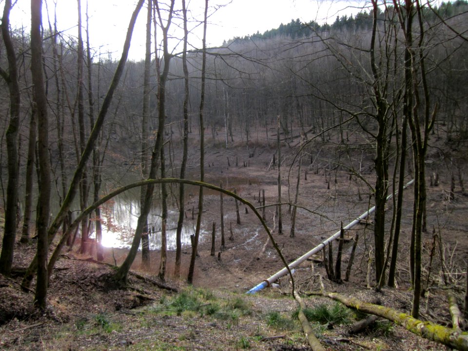 20130310Steinbachtal5
