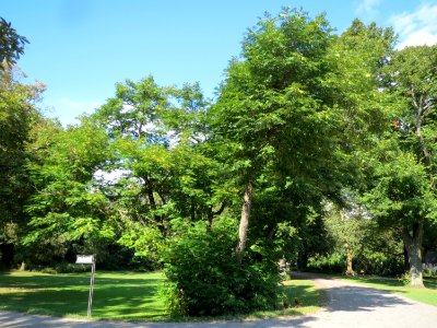 20130910Domgarten_Speyer1