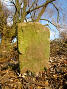 20130327Grenzstein_Kisselwiesen_Reilingen1