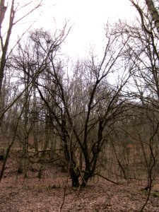 20130310Steinbachschacht05