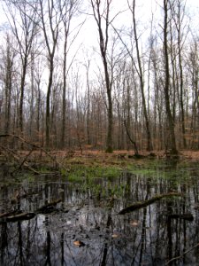20130331Sonnenberg10