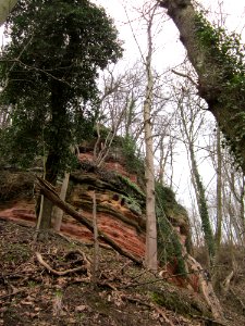 20130331Felsenwege_Sonnenberg03