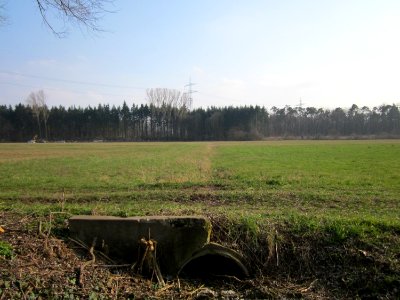 20130327_Kisselwiesen_Reilingen_01