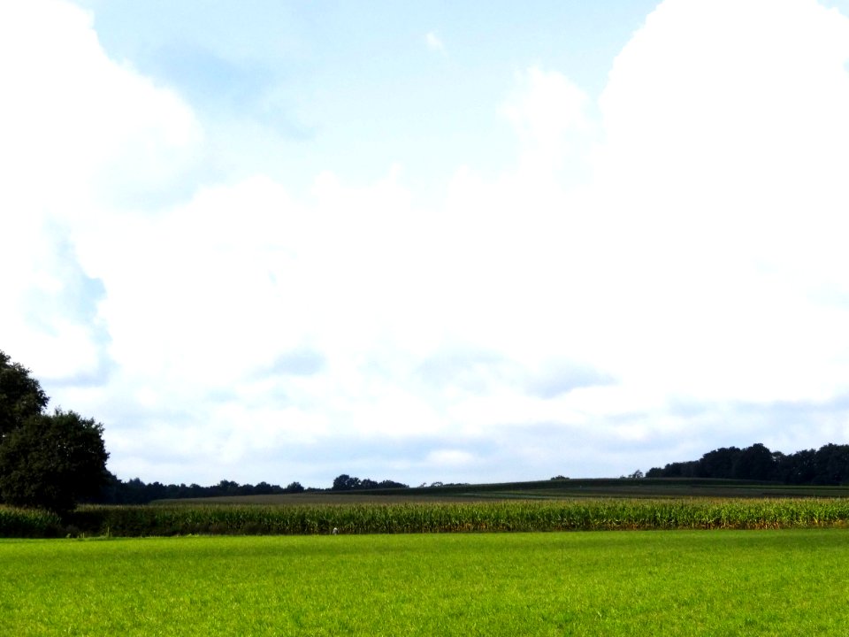 20130912_Rhaanderesch