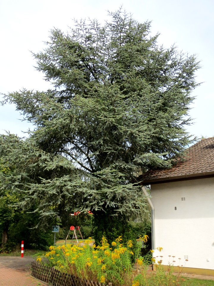 20130907Zeder_Hockenheim