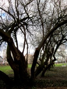 20130320Gartenschaupark_Hockenheim02