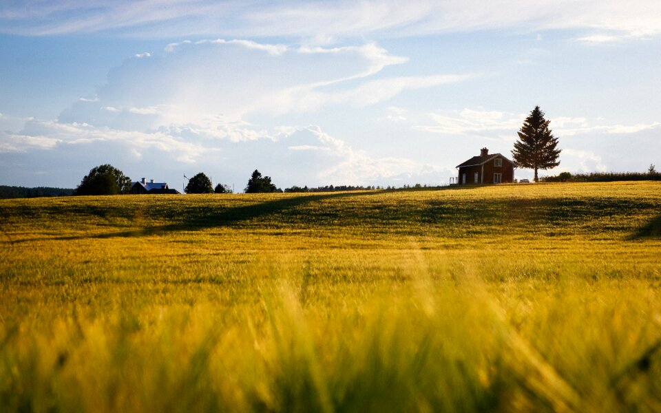 Cropland daylight farm