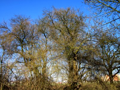 20130315Hockenheim2
