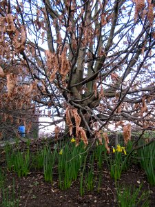 20130319Gartenschaupark_Hockenheim09