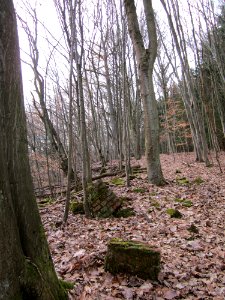 20130310Steinbachschacht11