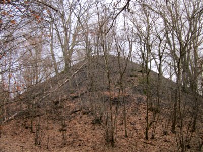 20130310Kleiner_Fudji01