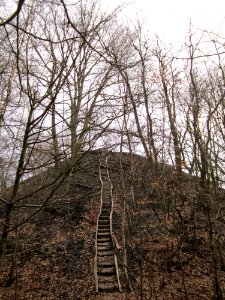 20130310Kleiner_Fudji02