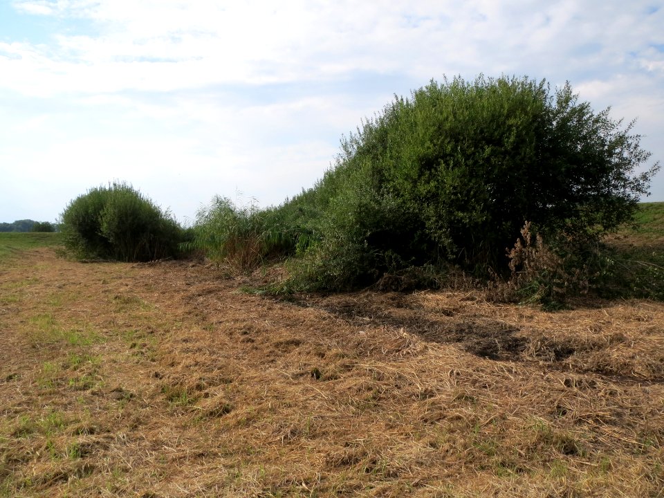 20130823Rueckhaltebecken_Hockenheim2