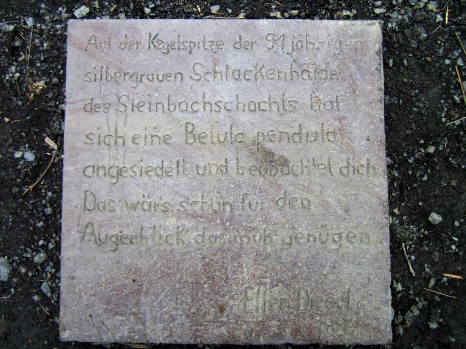 20130310Kleiner_Fudji11