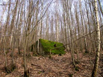 20130310Steinbachtal8