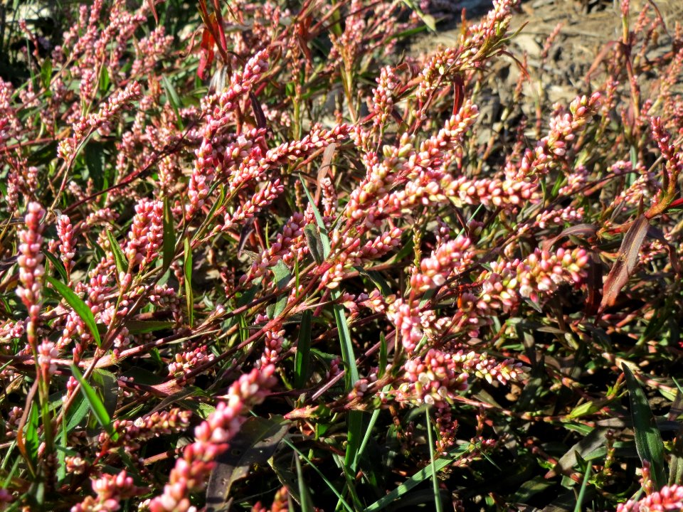 20130905Knoeterich2