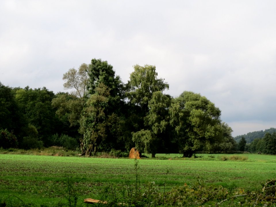 20130915Grosbliederstroff