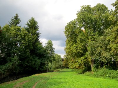 20130910Nonnenbach_Speyer