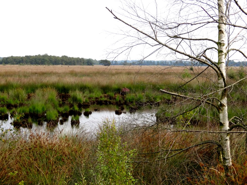 20130829_Wierdense_Veld1