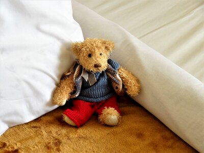 Teddy bear children toys bears