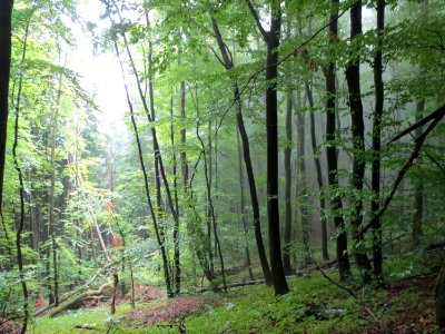20130912Sonnenberg
