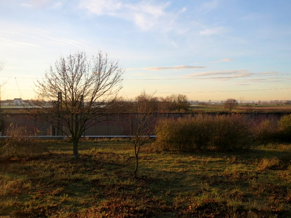 20131209Streuobstwiese3