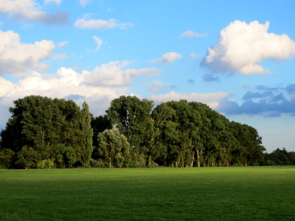 20130910Speyer2