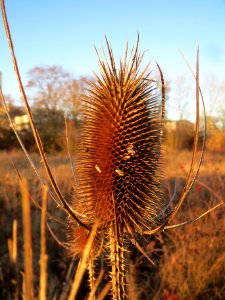 20131215Karde_Saarbruecken