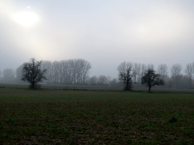 20131203Reilingen1