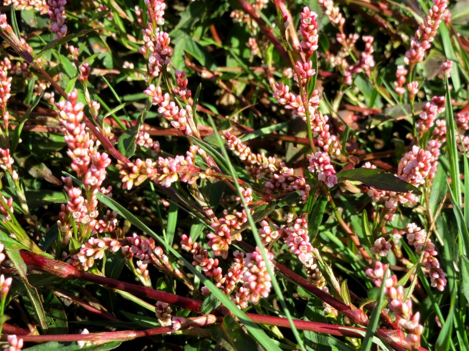 20130905Knoeterich1