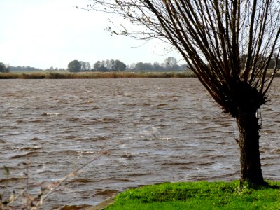 20131030_Thijssengracht_en_Giethoornsche_Meer