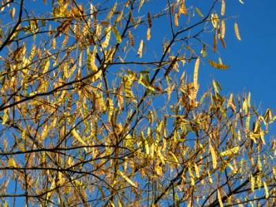 20131209Seidenbaum_Hockenheim2